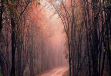 科斯塔斯·马诺拉斯，这位足坛铁卫有着怎样的职业生涯轨迹？