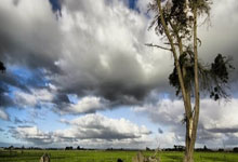 CBA今日有哪些精彩赛事？最新赛程安排和看点是什么？